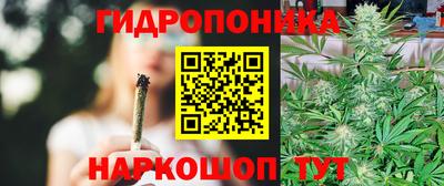 крисы Абинск