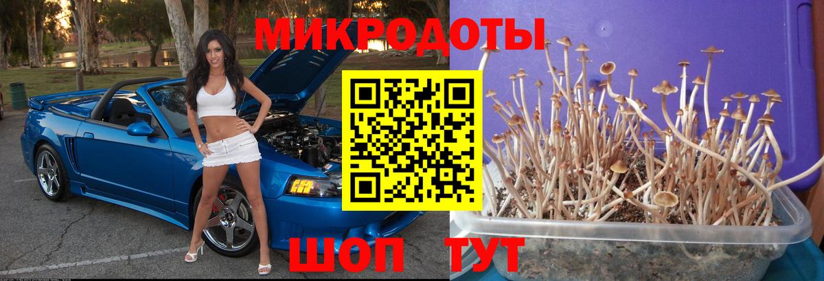 Россия  Галлюциногенные грибы ЛСД  Вход с VPN  Псилоцибиновые грибы прущие грибы 